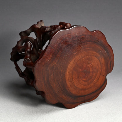 Beautiful Chinese Scholar Art Root Wood Stand
