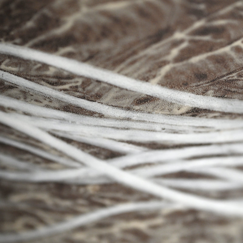 Unusual Vase, Long Tailed Rooster ー十三代 横石 臥牛 "鶏文花瓶"