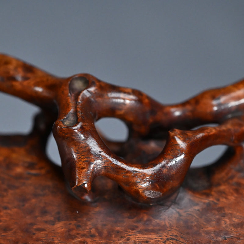 Spectacular Chinese Scholar Art Root Wood Stand