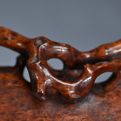 Spectacular Chinese Scholar Art Root Wood Stand
