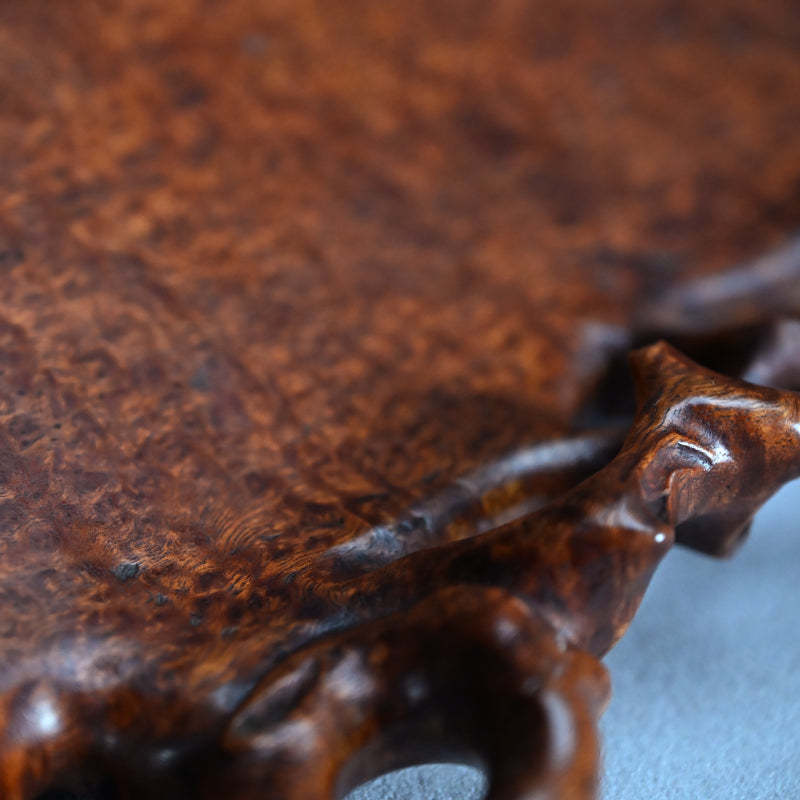 Spectacular Chinese Scholar Art Root Wood Stand