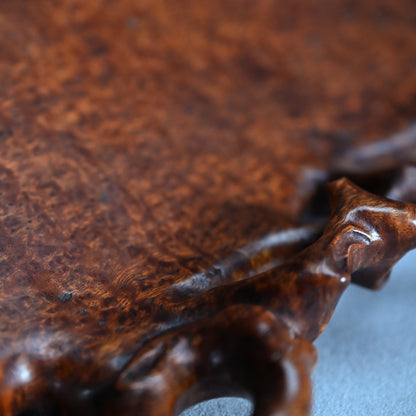 Spectacular Chinese Scholar Art Root Wood Stand