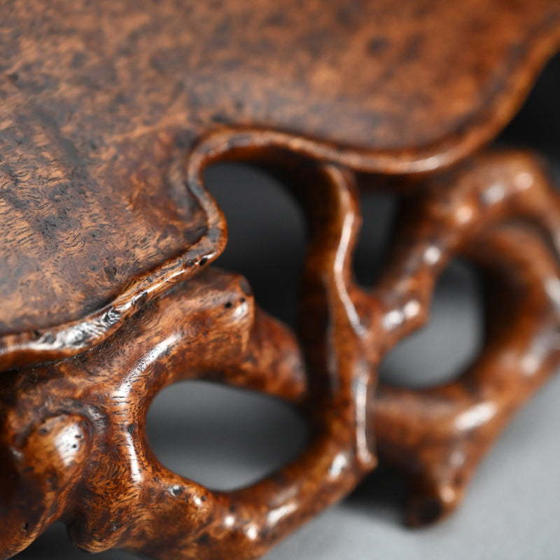 Spectacular Chinese Scholar Art Root Wood Stand