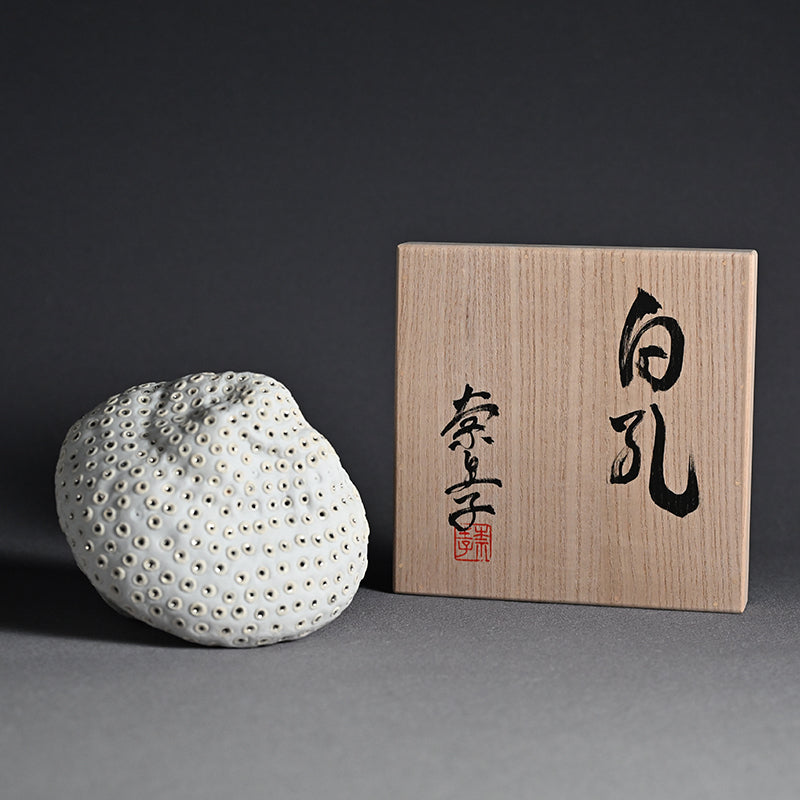 Object, White Hollow ー向井 奈生子 “白孔”