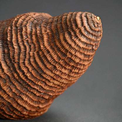 Ceramic Object Mino ー向井 奈生子 “蓋物 蓑”