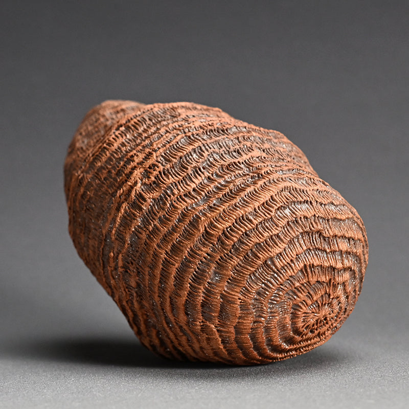 Ceramic Object Mino ー向井 奈生子 “蓋物 蓑”