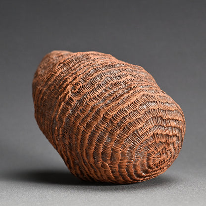 Ceramic Object Mino ー向井 奈生子 “蓋物 蓑”