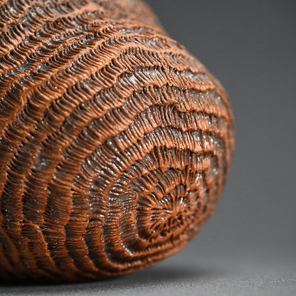 Ceramic Object Mino ー向井 奈生子 “蓋物 蓑”