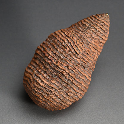 Ceramic Object Mino ー向井 奈生子 “蓋物 蓑”