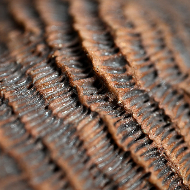 Ceramic Object Mino ー向井 奈生子 “蓋物 蓑”