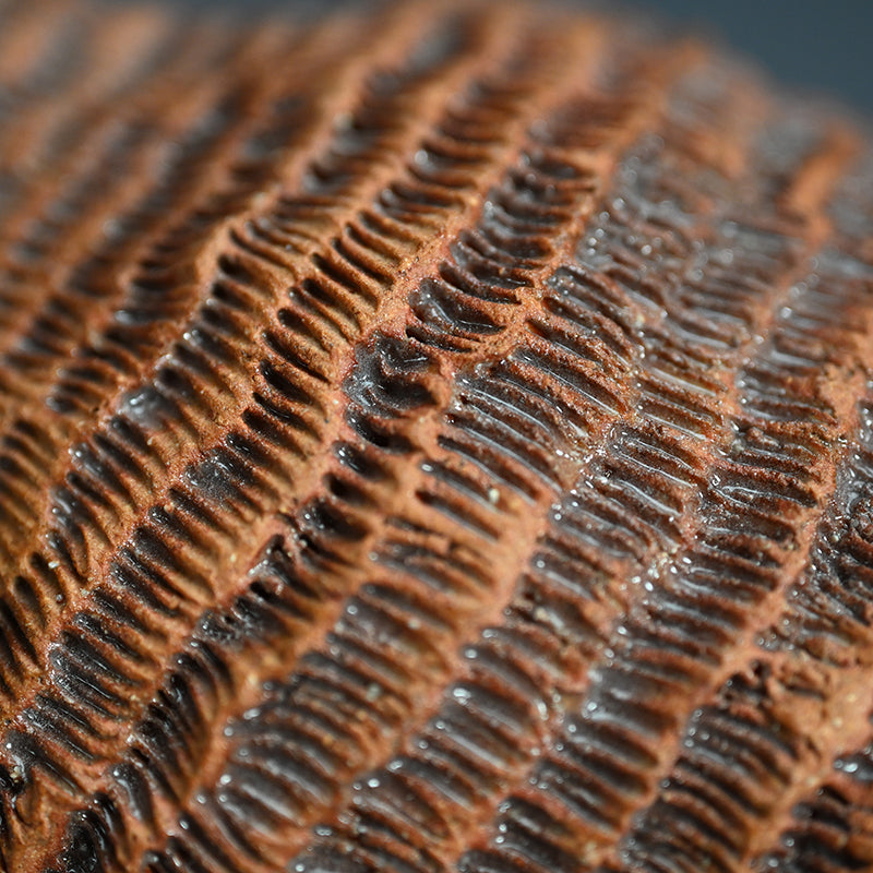 Ceramic Object Mino ー向井 奈生子 “蓋物 蓑”