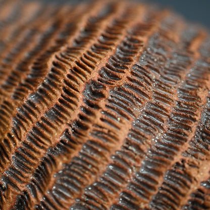 Ceramic Object Mino ー向井 奈生子 “蓋物 蓑”