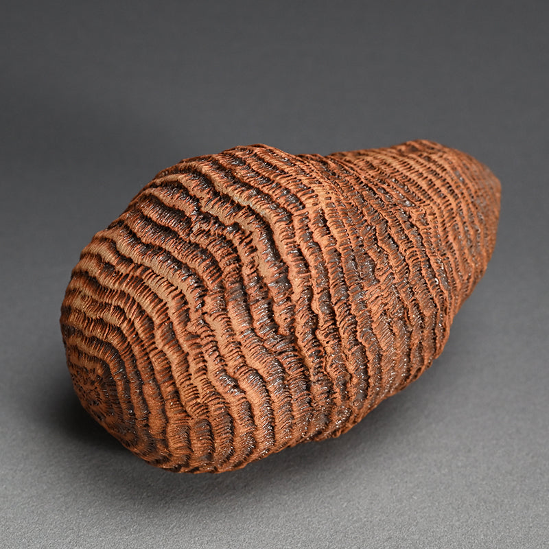 Ceramic Object Mino ー向井 奈生子 “蓋物 蓑”