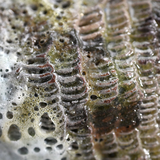 Object Koreihan ー向井 奈生子 “蓋物 枯緑斑”