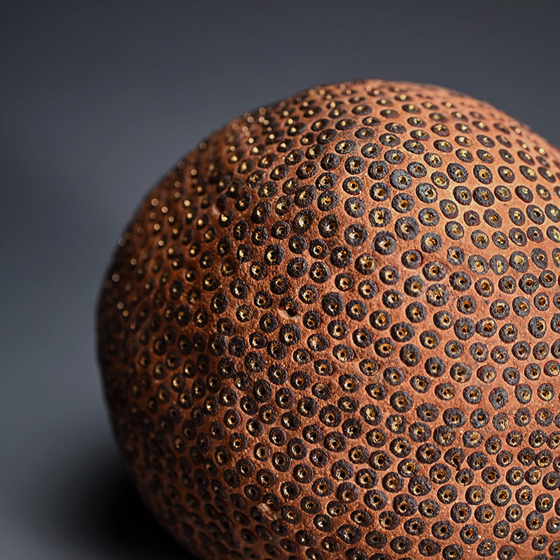 Skin of the earth Ⅳ ー向井 奈生子 “鼓動”