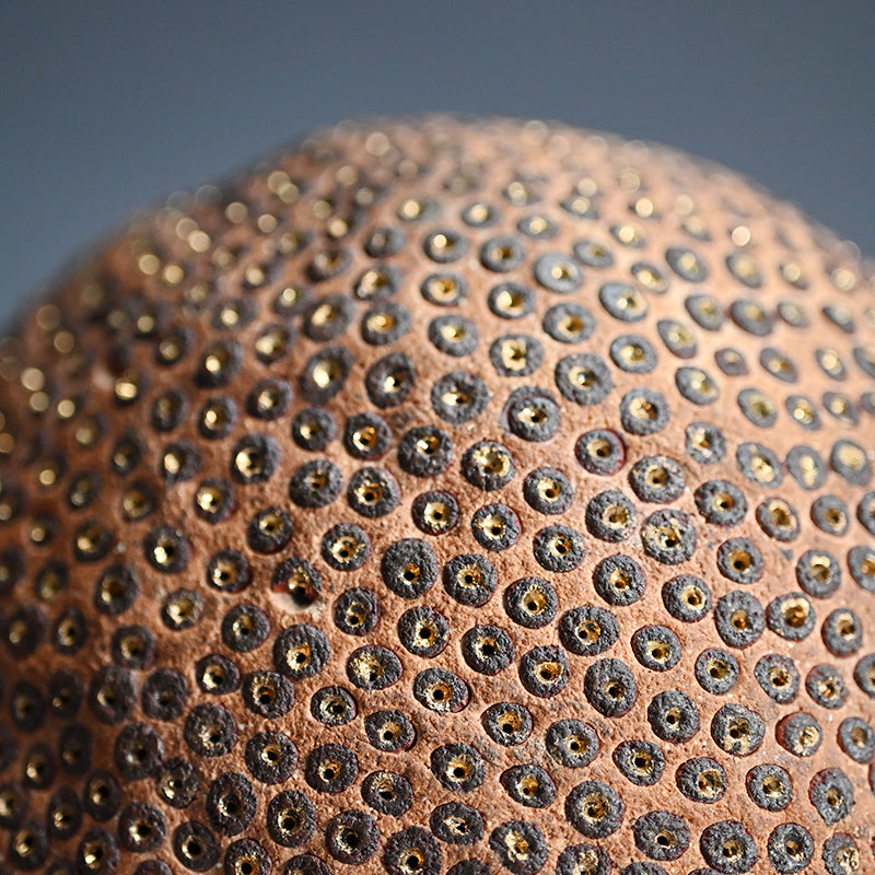 Skin of the earth Ⅳ ー向井 奈生子 “鼓動”