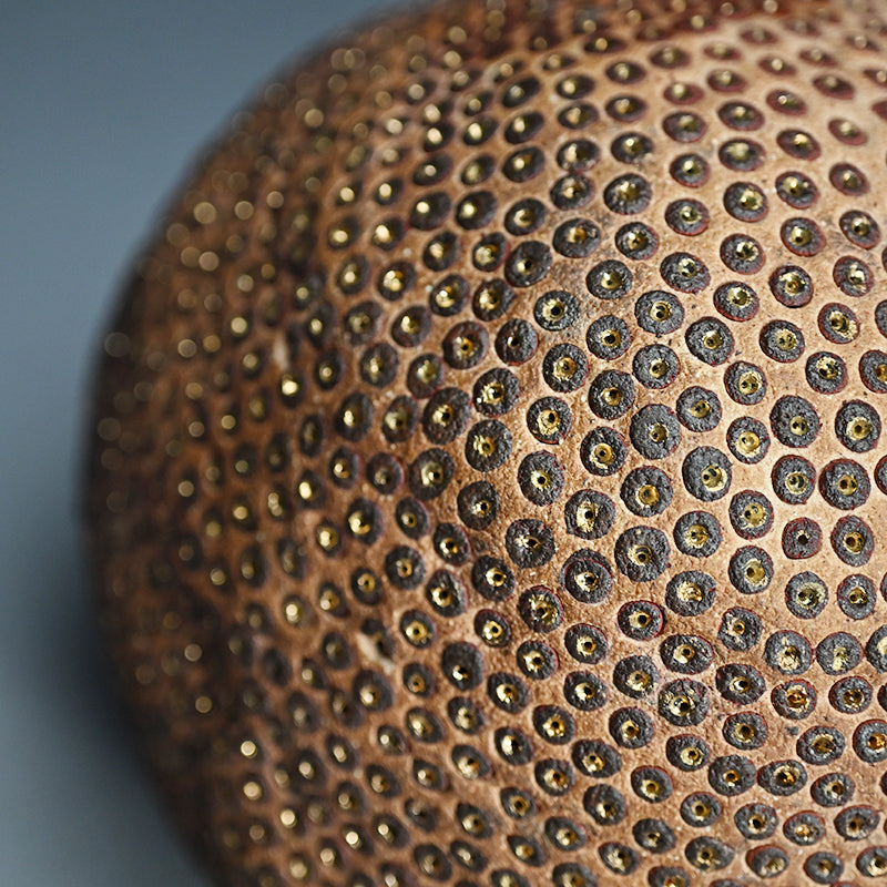 Skin of the earth Ⅳ ー向井 奈生子 “鼓動”