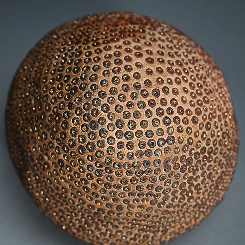 Skin of the earth Ⅳ ー向井 奈生子 “鼓動”