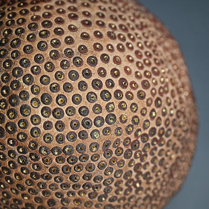 Skin of the earth Ⅳ ー向井 奈生子 “鼓動”