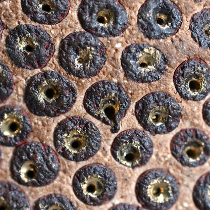 Skin of the earth Ⅳ ー向井 奈生子 “鼓動”