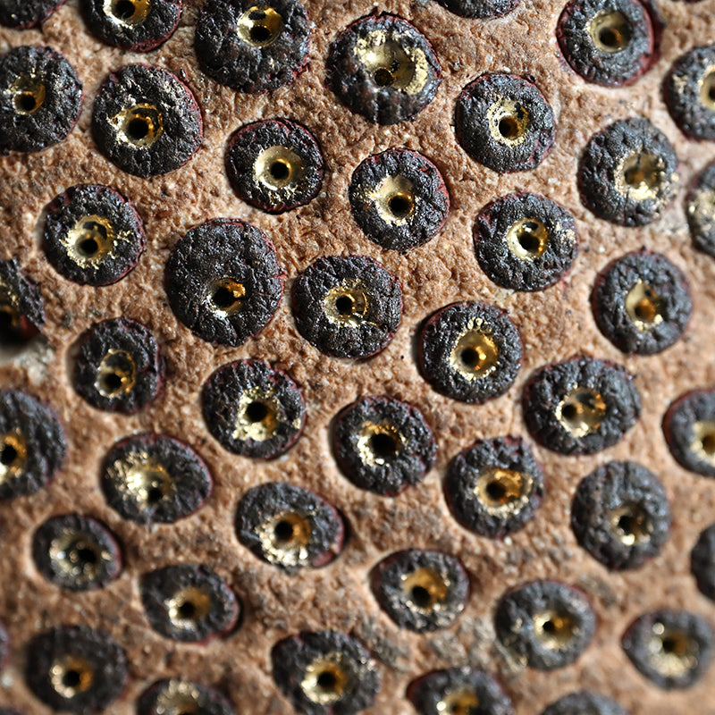 Skin of the earth Ⅳ ー向井 奈生子 “鼓動”