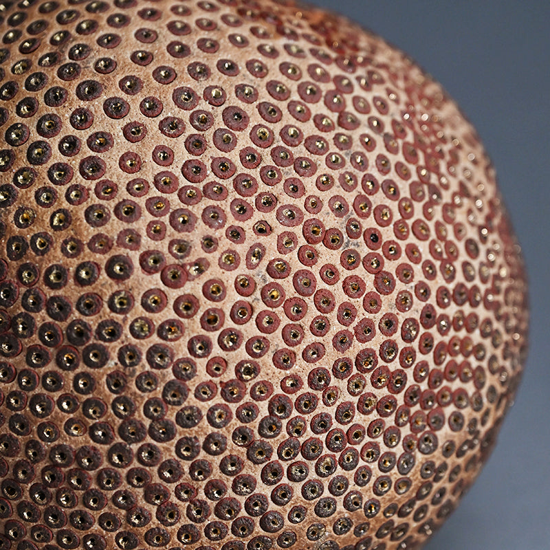 Skin of the earth Ⅳ ー向井 奈生子 “鼓動”