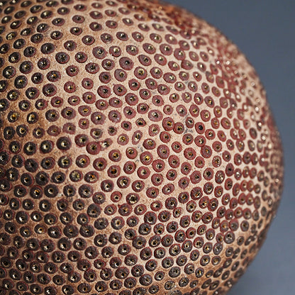 Skin of the earth Ⅳ ー向井 奈生子 “鼓動”