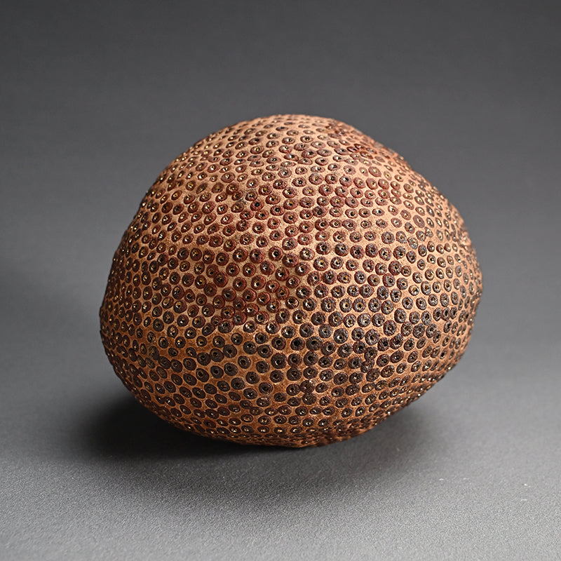 Skin of the earth Ⅳ ー向井 奈生子 “鼓動”