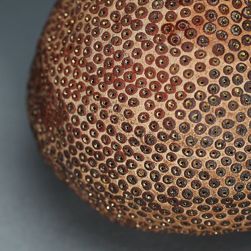 Skin of the earth Ⅳ ー向井 奈生子 “鼓動”