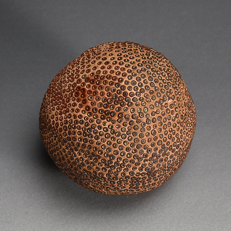 Skin of the earth Ⅳ ー向井 奈生子 “鼓動”