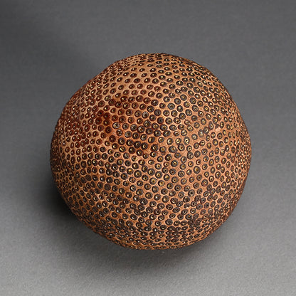 Skin of the earth Ⅳ ー向井 奈生子 “鼓動”