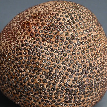 Skin of the earth Ⅳ ー向井 奈生子 “鼓動”