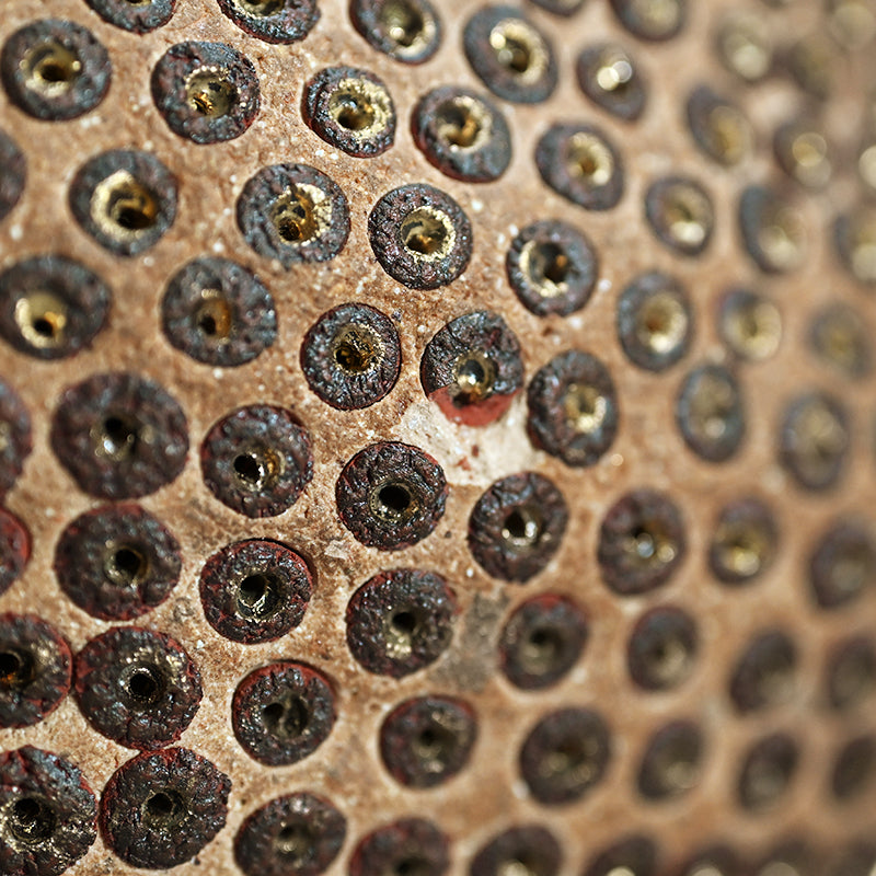 Skin of the earth Ⅳ ー向井 奈生子 “鼓動”