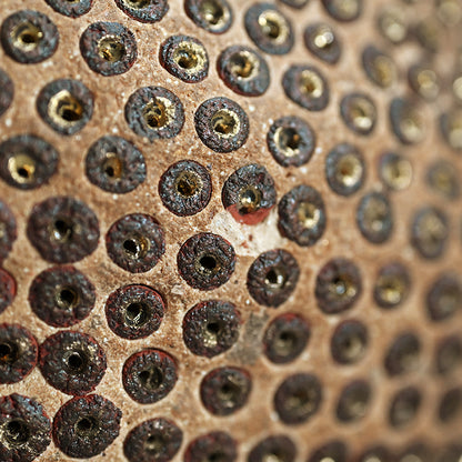 Skin of the earth Ⅳ ー向井 奈生子 “鼓動”