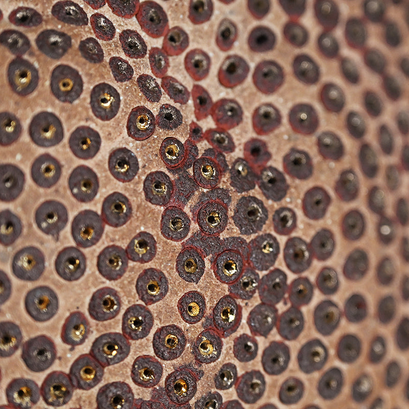 Skin of the earth Ⅳ ー向井 奈生子 “鼓動”