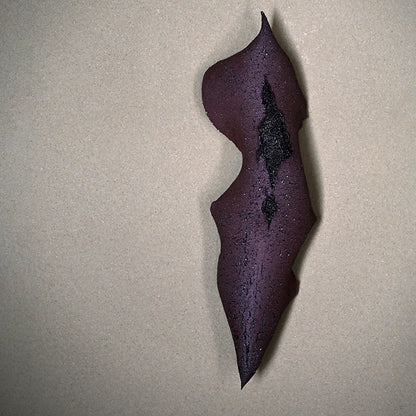 Wall-Mounted Ceramic Object ー向井 奈生子 “癒殻”