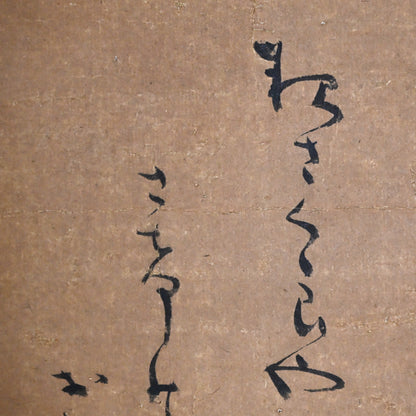 Rare! Meiji p. Female Artist Skeleton Painting ー辻 翠蘭