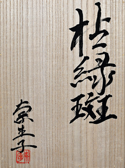 Object Koreihan ー向井 奈生子 “蓋物 枯緑斑”
