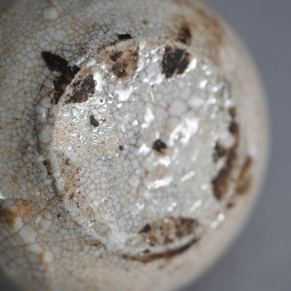 Early Kenjo Karatsu Guinomi in a Lacquer Ball Box