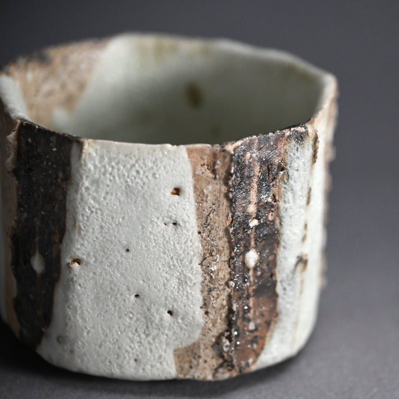 Striking Early Chawan Tea Bowl ー加古 勝己 “灰釉掛分け茶碗”