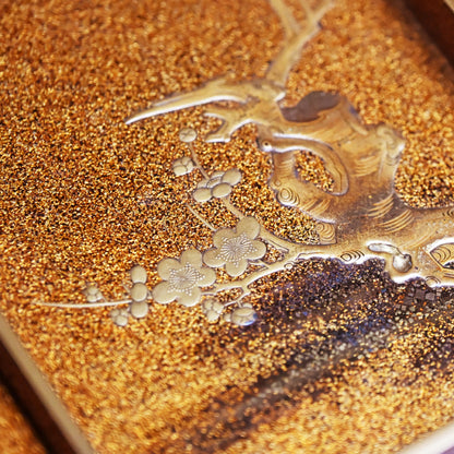 Exquisite Edo period Japanese Lacquered Writing Box