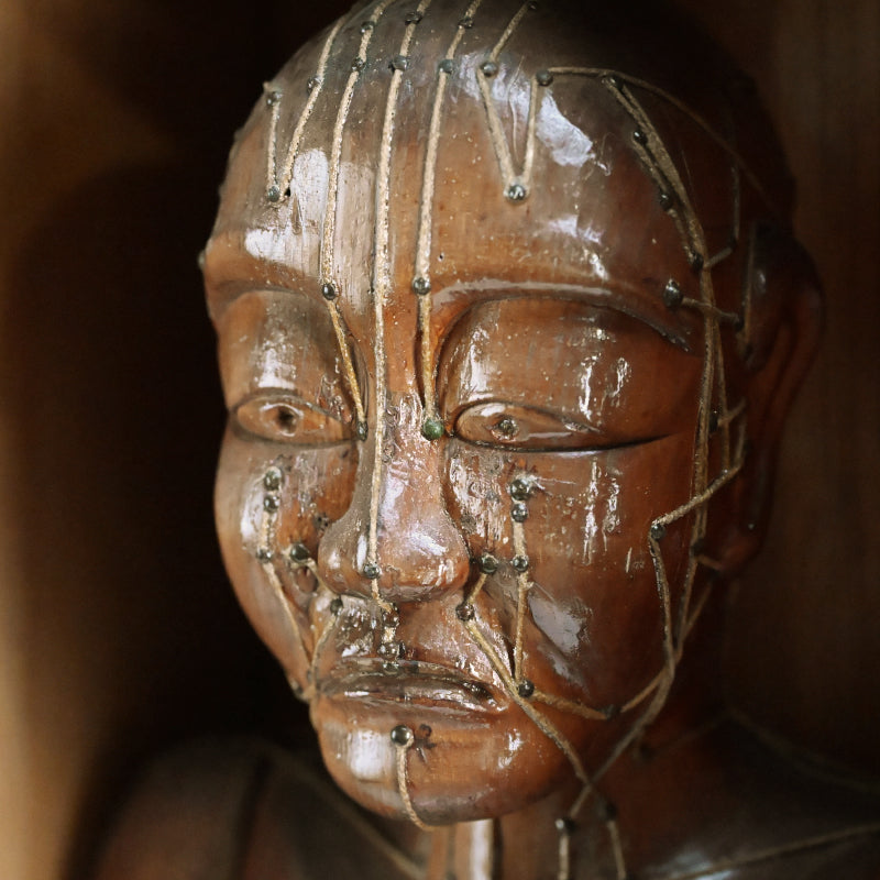 Antique Japanese Carved Wood Acupuncture Body Model