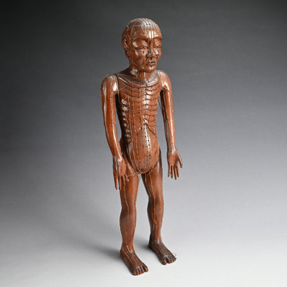 Antique Japanese Carved Wood Acupuncture Body Model