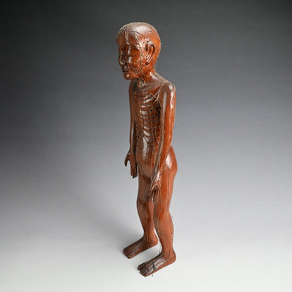 Antique Japanese Carved Wood Acupuncture Body Model