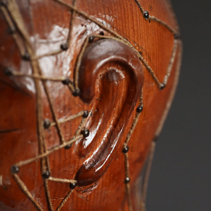 Antique Japanese Carved Wood Acupuncture Body Model