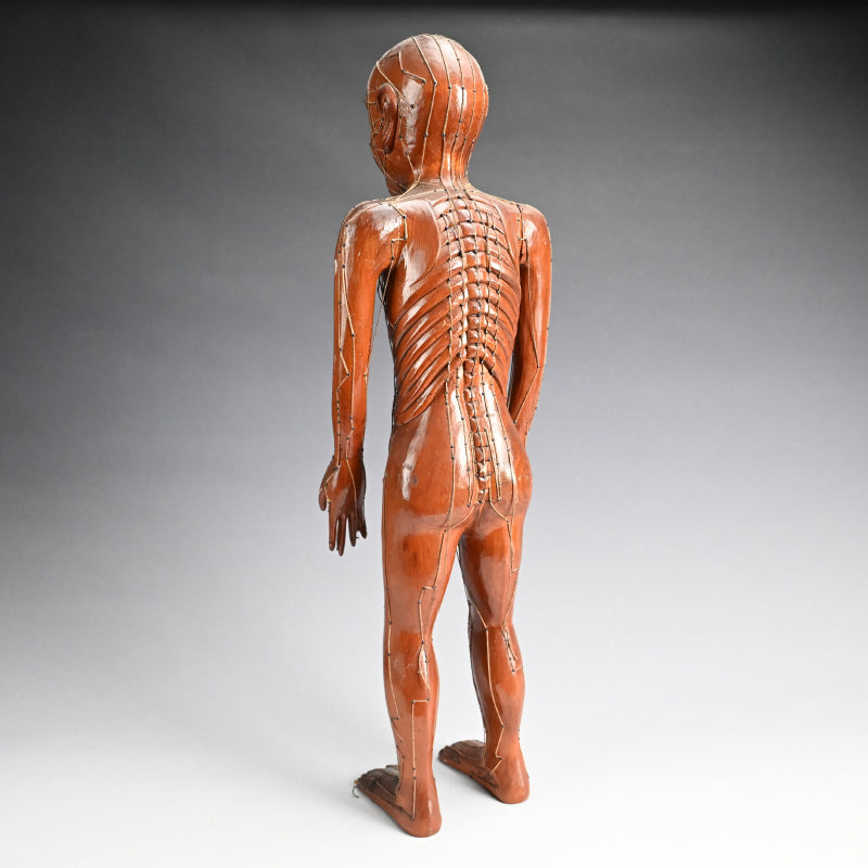 Antique Japanese Carved Wood Acupuncture Body Model