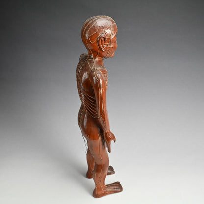 Antique Japanese Carved Wood Acupuncture Body Model