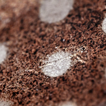 Contemporary Flower Basin ー加古 勝己 “棘座”