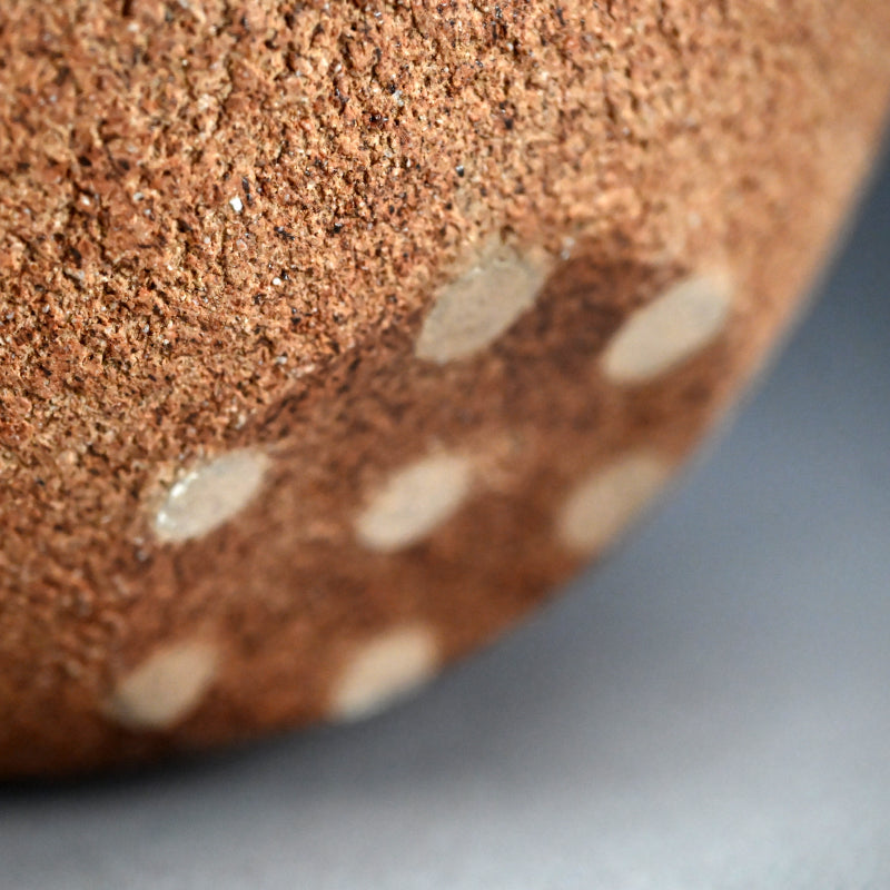 Contemporary Flower Basin ー加古 勝己 “棘座”