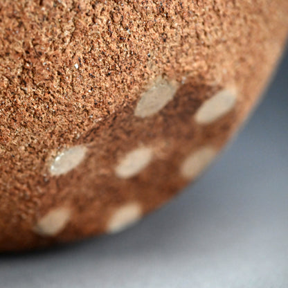 Contemporary Flower Basin ー加古 勝己 “棘座”